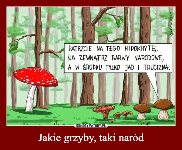 Jakie grzyby, taki naród –  PATRZCIE NA TEGO HIPOKRYTĘ.NA ZEWNĄTRZ BARWY NARODOWE,A W ŚRODKU TYLKO JAD I TRUCIZNA.MAREK 2024