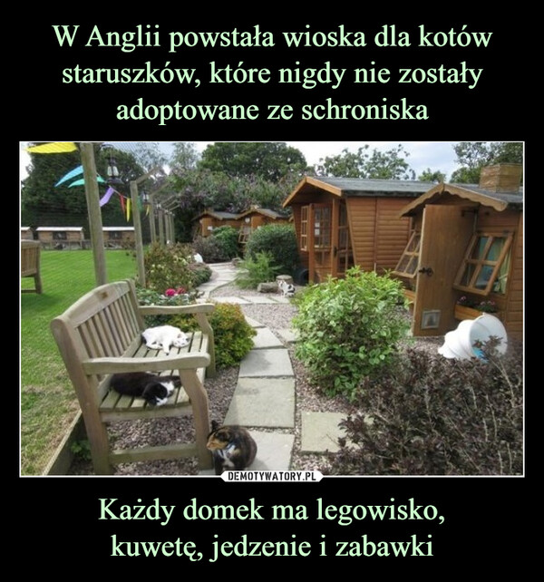 Każdy domek ma legowisko,kuwetę, jedzenie i zabawki –  