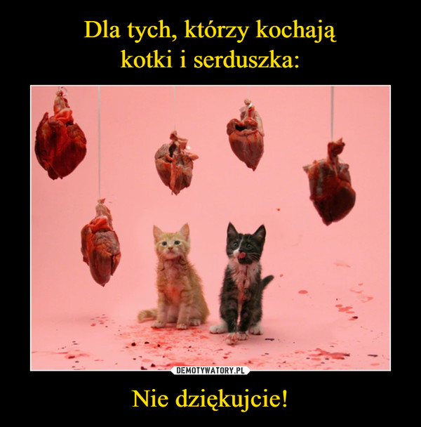 Nie dziękujcie! –  