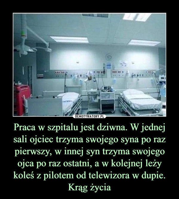 Praca w szpitalu jest dziwna. W jednej sali ojciec trzyma swojego syna po raz pierwszy, w innej syn trzyma swojego ojca po raz ostatni, a w kolejnej leży koleś z pilotem od telewizora w dupie. Krąg życia –  