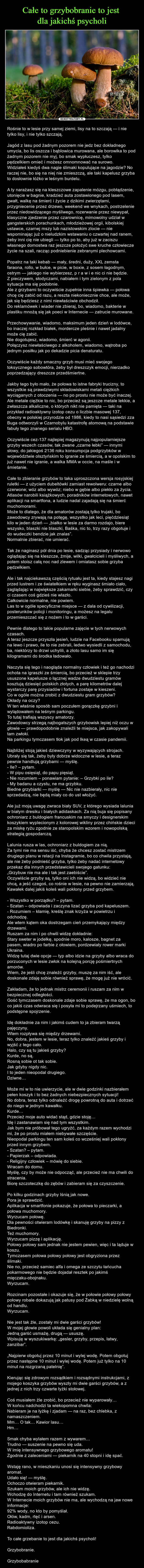  – Rośnie to w lesie przy samej ziemi, lisy na to szczają — i nie tylko lisy, i nie tylko szczają.Jagód z lasu pod żadnym pozorem nie jedz bez dokładnego umycia, bo lis oszcza i bąblowica murowana, ale borowika to pod żadnym pozorem nie myj, bo smak wypłuczesz, tylko pędzelkiem omieć i możesz omnomnować na surowo.Widziałeś kiedyś dwa nagie ślimaki kopulujące na jagodzie? No raczej nie, bo się na niej nie zmieszczą, ale taki kapelusz grzyba to dosłownie łóżko w leśnym burdelu.A ty narażasz się na kleszczowe zapalenie mózgu, pobłądzenie, utonięcie w bagnie, kradzież auta zostawionego pod lasem, gwałt, walkę na śmierć i życie z dzikimi zwierzętami, przygniecenie przez drzewo, weekend we wnykach, postrzelenie przez niedowidzącego myśliwego, rozerwanie przez niewypał, klasyczne zjedzenie przez czarownicę, mimowolny udział w gangsterskich porachunkach, młodzieżowej orgii, kibolskiej ustawce, czarnej mszy lub nazistowskim zlocie — nie wspominając już o nieludzkim wstawaniu o czwartej nad ranem, żeby inni cię nie ubiegli — tylko po to, aby już w zaciszu własnego domostwa raz jeszcze położyć swe kruche człowiecze życie na szali, racząc podniebienie zebranymi plechowcami.Popatrz na taki kebab — mały, średni, duży, XXL zemsta faraona, rollo, w bułce, w picie, w boxie, z sosem łagodnym, ostrym — jakiego nie wybierzesz, p r a w i e nic ci nie będzie.Z pieczywem, słodyczami, nabiałem i tym zielonym z pola sytuacja ma się podobnie.Ale z grzybami to oczywiście zupełnie inna śpiewka — połowa chcę cię zabić od razu, a reszta niekoniecznie chce, ale może, jak się będziesz z nimi niewłaściwie obchodził.Do reklamówek i wiader nie zbieraj, bo, wiadomo, bakterie w plastiku mnożą się jak poeci w Internecie — zatrucie murowane.Przechowywanie, wiadomo, maksimum jeden dzień w lodówce, bo inaczej rozkład białek, mordercze pleśnie i nawet jadalny może cię zabić.Nie dogotujesz, wiadomo, śmierć w agonii.Połączysz niewłaściwego z alkoholem, wiadomo, wątroba po jednym posiłku jak po dekadzie picia denaturatu.Oczywiście każdy smaczny grzyb musi mieć swojego toksycznego sobowtóra, żeby był dreszczyk emocji, nierzadko poprzedzający dreszcze przedśmiertne.Jakby tego było mało, że połowa to istne fabryki trucizny, to wszystkie są prawdziwymi składowiskami metali ciężkich wyciąganych z otoczenia — no po prostu nie może być inaczej.Ale metale ciężkie to nic, bo przecież są jeszcze metale lekkie, a zwłaszcza alkaliczne, o których nikt nie pamięta — taki na przykład radioaktywny izotop cezu o liczbie masowej 137, obecny w polskiej przyrodzie od 1986, kiedy to nasi sąsiedzi zza Buga odtworzyli w Czarnobylu katastrofę atomową na podstawie fabuły tego znanego serialu HBO.Oczywiście cez-137 najlepiej magazynują najpopularniejsze grzyby wszech czasów, tak zwane „czarne łebki” — innymi słowy, do jakiegoś 2136 roku konsumpcja podgrzybków w województwie olsztyńskim to igranie ze śmiercią, a w opolskim to już nawet nie igranie, a walka MMA w occie, na maśle i w śmietanie.Całe to zbieranie grzybów to taka uproszczona wersja rosyjskiej ruletki — z użyciem dubeltówki zamiast rewolweru: czarne albo czerwone; wóz albo wywóz; niebo w gębie albo piekło za życia.Atlasów narobili książkowych, poradników internetowych, nawet aplikacji na smartfona, a ludzie nadal zajadają się na śmierć muchomorami.Może to dlatego, że dla amatorów zostają tylko trujaki, bo zawodowcy zrywają na potęgę, wszystko jak leci, pięćdziesiąt kilo w jeden dzień — „białko w lesie za darmo rozdajo, biere wszysko, blaszki nie blaszki, Baśka, nic to, trzy razy obgotuje i do wudeczki bendzie jak znalas”.Normalnie zbierać, nie umierać.Tak że naginasz pół dnia po lesie, sadząc przysiady i nerwowo oglądając się na kleszcze, żmije, wilki, gwałcicieli i myśliwych, a potem stoisz całą noc nad zlewem i omiatasz sobie grzyba pędzelkiem.Ale i tak najciekawszą częścią rytuału jest ta, kiedy stajesz nagi przed lustrem i ze światełkiem w ręku wyginasz śmiało ciało, zaglądając w największe zakamarki siebie, żeby sprawdzić, czy ci czasem coś gdzieś nie wlazło.Całkowicie normalne, nie powiem.Las to w ogóle specyficzne miejsce — z dala od cywilizacji, posterunków policji i monitoringu, a możesz na legalu przemieszczać się z nożem i to w garści.Pewnie dlatego to takie popularne zajęcie w tych nerwowych czasach.A teraz jeszcze przyszła jesień, ludzie na Facebooku spamują na lewo i prawo, ile to nie zebrali, ledwo wysiedli z samochodu, ba, niektórzy to drzwi uchylili, a złoto lasu samo im się kilogramami do środka ładowało.Naczyta się tego i naogląda normalny człowiek i też go nachodzi ochota na igraszki ze śmiercią, bo przecież w sklepie trzy ususzone kapelusze o łącznej wadze dwudziestu gramów kosztują dziesięć polskich złotych, a parę kilometrów dalej wystarczy parę przysiadów i fortuna zostaje w kieszeni.Co w ogóle można zrobić z dwudziestu gram grzybów? Okłady na oczy?W ten właśnie sposób sam poczułem gorączkę grzybni i wylądowałem na leśnym parkingu.To tutaj trafiają wszyscy amatorzy.Zawodowcy strzegą najbogatszych grzybowisk lepiej niż oczu w głowie — prawdopodobnie znaleźli te miejsca, jak zakopywali tam zwłoki.Na parkingu tymczasem tłok jak pod Ikeą w czasie pandemii. Najbliżej stoją jakieś dziewczyny w wyzywających strojach.Ubrały się tak, żeby były dobrze widoczne w lesie, a teraz pewnie handlują grzybami — myślę.- Ile? – pytam.- W pipu osięsiąt, do papu pięsiąt.- Nie rozumiem – ponawiam pytanie: – Grzybki po ile?- My badanu a czystu, ne ma grzybku.Biedne grzybiarki — myślę — Nic nie nazbierały, nic nie sprzedadzą, nie będą miały co do ust włożyć.Ale już moją uwagę zwraca biały SUV, z którego wysiada lalunia w białym dresiku i białych adidaskach. Za nią buja się popisany ochroniarz z buldogiem francuskim na smyczy i designerskim koszykiem wyplecionym z kolorowej wikliny przez chińskie dzieci za miskę ryżu zgodnie ze staropolskim wzorem i nowopolską strategią gospodarczą. Lalunia rusza w las, ochroniarz z buldogiem za nią.Za tymi nie ma sensu iść, chyba że chcesz zostać mistrzem drugiego planu w relacji na Instagramie, bo co chwila przystają, ale nie żeby podnieść grzyba, tylko żeby nadać internetowy przekaz dla innych przedstawicieli swojego gatunku:„Grzybuw nie ma ale i tak jest zaebiście”.Oczywiście grzyby są, tylko oni ich nie widzą, bo widzieć nie chcą, a jeść czegoś, co rośnie w lesie, na pewno nie zamierzają.Kawałek dalej jakiś koleś wali pokłony przed grzybem.- Wszystko w porządku? – pytam.- Szatan – odpowiada i zaczyna lizać grzyba pod kapeluszem.- Rozumiem – kłamię, kreślę znak krzyża w powietrzu i odchodzę.Ale wtem kątem oka dostrzegam cień przemykający między drzewami.Ruszam za nim i po chwili widzę dokładnie:Stary sweter w jodełkę, spodnie moro, kalosze, bagnet za pasem, wiadro po farbie z ołowiem, pordzewiały rower marki Ukraina.Widzę tutaj dwie opcje — typ albo idzie na grzyby albo wraca do porzuconych w lesie zwłok na kolejną porcję pośmiertnych amorów.Wiem, że jeśli chcę znaleźć grzyby, muszę za nim iść, ale doskonale zdaję sobie również sprawę, że mogę już nie wrócić.Zakładam, że to jednak mistrz ceremonii i ruszam za nim w bezpiecznej odległości. Gość tymczasem doskonale zdaje sobie sprawę, że ma ogon, bo co jakiś czas odwraca się i posyła mi to podejrzany uśmiech, to podstępne spojrzenie.Idę dokładnie za nim i jakimś cudem to ja zbieram twarzą pajęczyny.Wtem rozpływa się między drzewami.No, dobra, jestem w lesie, teraz tylko znaleźć jakieś grzyby i wyjść z tego cało.Halo, czy są tu jakieś grzyby?Kurde, no są.Rosną sobie ot tak sobie. Jak gdyby nigdy nic.I to jeden nieopodal drugiego.Dziwne… Może mi w to nie uwierzycie, ale w dwie godzinki nazbierałem pełen koszyk i to bez żadnych niebezpiecznych sytuacji!No dobra, teraz tylko odnaleźć drogę powrotną do auta i dotrzeć do niego w jednym kawałku.Kurde…Przecież moje auto widać stąd, gdzie stoję…Idę i zastanawiam się nad tym wszystkim.Jak bym nie próbował tego ugryźć, za każdym razem wychodzi mi, że po prostu miałem niebywałe szczęście.Nieopodal parkingu ten sam koleś co wcześniej wali pokłony przed innym grzybem.- Szatan? – pytam.- Papierzak – odpowiada.- Religijny człowiek – mówię do siebie.Wracam do domu.Myślę, czy by może nie odpocząć, ale przecież nie ma chwili do stracenia.Biorę szczoteczkę do zębów i zabieram się za czyszczenie.Po kilku godzinach grzyby lśnią jak nowe.Pora je sprawdzić.Aplikacja w smartfonie pokazuje, że połowa to pieczarki, a połowa muchomory.Wyrzucam połowę.Dla pewności otwieram lodówkę i skanuję grzyby na pizzy z Biedronki.Też muchomory.Wyrzucam pizzę i aplikację.Połowy połowy sam jednak nie jestem pewien, więc i ta ląduje w koszu. Tymczasem połowa połowy połowy jest obgryziona przez ślimaki.Nie no, przecież samiec alfa i omega ze szczytu łańcucha pokarmowego nie będzie dojadał resztek po jakimś mięczaku-obojnaku.Wyrzucam.Rozcinam pozostałe i okazuje się, że w połowie połowy połowy połowy robale dokazują jak patusy pod Żabką w niedzielę wolną od handlu.Wyrzucam.Nie jest tak źle, zostały mi dwie garści grzybów!W mojej głowie powoli układa się genialny plan:Jedną garść usmażę, drugą — ususzę.Wpisuję w wyszukiwarkę: „gesler, grzyby, przepis, łatwy, zanzibar”.„Najpierw obgotuj przez 10 minut i wylej wodę. Potem obgotuj przez następne 10 minut i wylej wodę. Potem już tylko na 10 minut na rozgrzaną patelnię”.Kierując się zdrowym rozsądkiem i rozsądnymi instrukcjami, z mojego koszyka grzybów wyszły mi dwie garści grzybów, a z jednej z nich trzy czwarte łyżki stołowej.Coś musiałem źle zrobić, bo przecież nie wyparowały…W końcu nadchodzi ta wiekopomna chwila:Nabieram je na łyżkę i zjadam — na raz, bez chlebka, z namaszczeniem.Mm… O tak… Kawior lasu…Hm…Smak chyba wylałem razem z wywarem…Trudno — suszenie na pewno się uda.W imię intensywnego grzybowego aromatu!Zgodnie z zaleceniami — piekarnik na 40 stopni i idę spać.Wstaję rano, w mieszkaniu unosi się intensywny grzybowy aromat.Udało się! — myślę.Ochoczo otwieram piekarnik.Szukam moich grzybów, ale ich nie widzę.Wchodzę do Internetu i tam również szukam.W Internecie moich grzybów nie ma, ale wychodzą na jaw nowe informacje:92% wody, no kto by pomyślał.Ołów, kadm, rtęć i arsen.Radioaktywny izotop cezu.Rabdomioliza.To całe grzebanie to jest dla jakichś psycholi!Grzybobranie.Grzybobabranie 