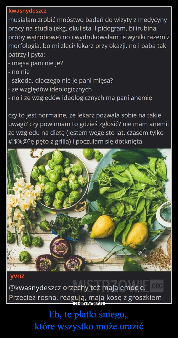 Eh, te płatki śniegu, które wszystko może urazić –  kwasnydeszczmusiałam zrobić mnóstwo badań do wizyty z medycynypracy na studia (ekg, okulista, lipidogram, bilirubina,próby wątrobowe) no i wydrukowałam te wyniki razem zmorfologia, bo mi zlecił lekarz przy okazji. no i baba takpatrzy i pyta:- mięsa pani nie je?- no nie- szkoda. dlaczego nie je pani mięsa?- ze względów ideologicznych- no i ze względów ideologicznych ma pani anemięczy to jest normalne, że lekarz pozwala sobie na takieuwagi? czy powinnam to gdzieś zgłosić? nie mam anemiize względu na dietę (jestem wege sto lat, czasem tylko#!$%@?ę pęto z grilla) i poczułam się dotknięta.yvnz@kwasnydeszcz orzechy też mają emocje. .ORGPrzecież rosną, reagują, mają kosę z groszkiem