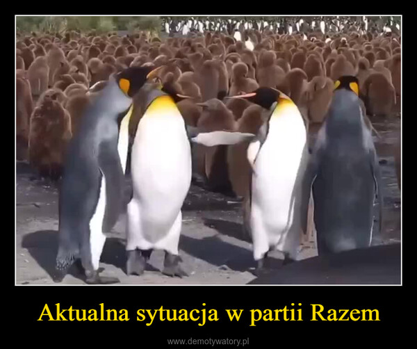 Aktualna sytuacja w partii Razem –  