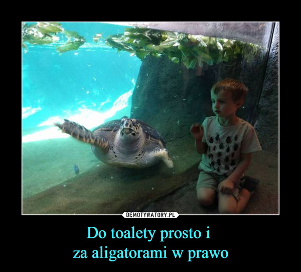 Do toalety prosto i za aligatorami w prawo –  