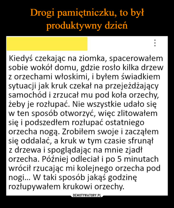  –  Kiedyś czekając na ziomka, spacerowałemsobie wokół domu, gdzie rosło kilka drzewz orzechami włoskimi, i byłem świadkiemsytuacji jak kruk czekał na przejeżdżającysamochód i zrzucał mu pod koła orzechy,żeby je rozłupać. Nie wszystkie udało sięw ten sposób otworzyć, więc zlitowałemsię i podszedłem rozłupać ostatniegoorzecha nogą. Zrobiłem swoje i zacząłemsię oddalać, a kruk w tym czasie sfrunąłz drzewa i spoglądając na mnie zjadłorzecha. Później odleciał i po 5 minutachwrócił rzucając mi kolejnego orzecha podnogi... W taki sposób jakąś godzinęrozłupywałem krukowi orzechy.