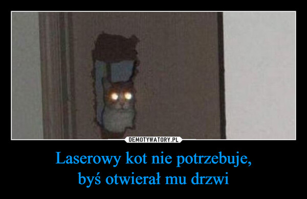 Laserowy kot nie potrzebuje,byś otwierał mu drzwi –  