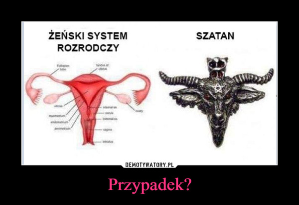 Przypadek? –  Żeński system rozrodczy Szatan