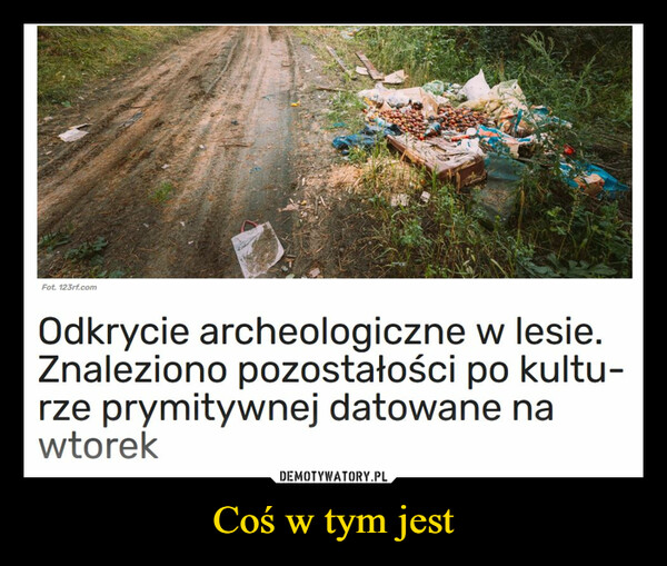 Coś w tym jest –  Fot. 123rf.comOdkrycie archeologiczne w lesie.Znaleziono pozostałości po kultu-rze prymitywnej datowane nawtorek