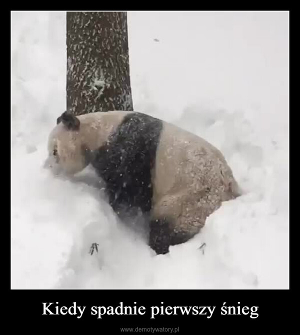 Kiedy spadnie pierwszy śnieg –  