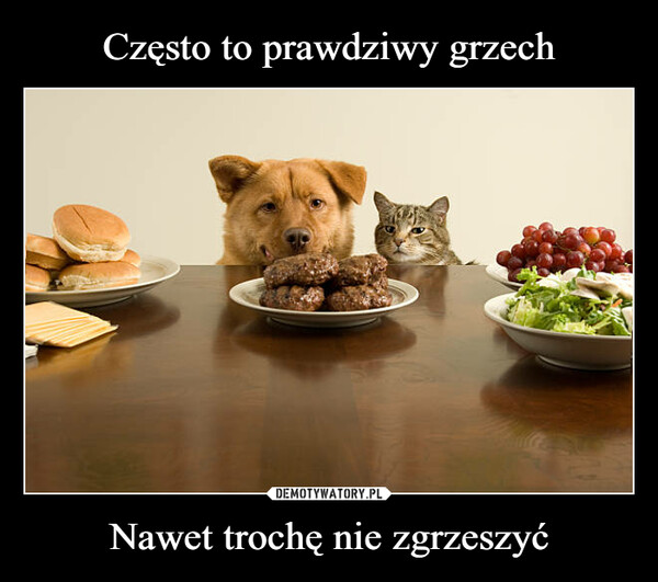 Nawet trochę nie zgrzeszyć –  