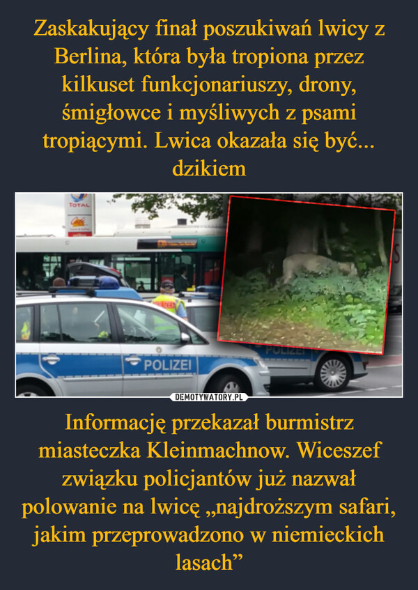 Informację przekazał burmistrz miasteczka Kleinmachnow. Wiceszef związku policjantów już nazwał polowanie na lwicę „najdroższym safari, jakim przeprowadzono w niemieckich lasach” –  TOTALPOLIZEIPOLIZEI