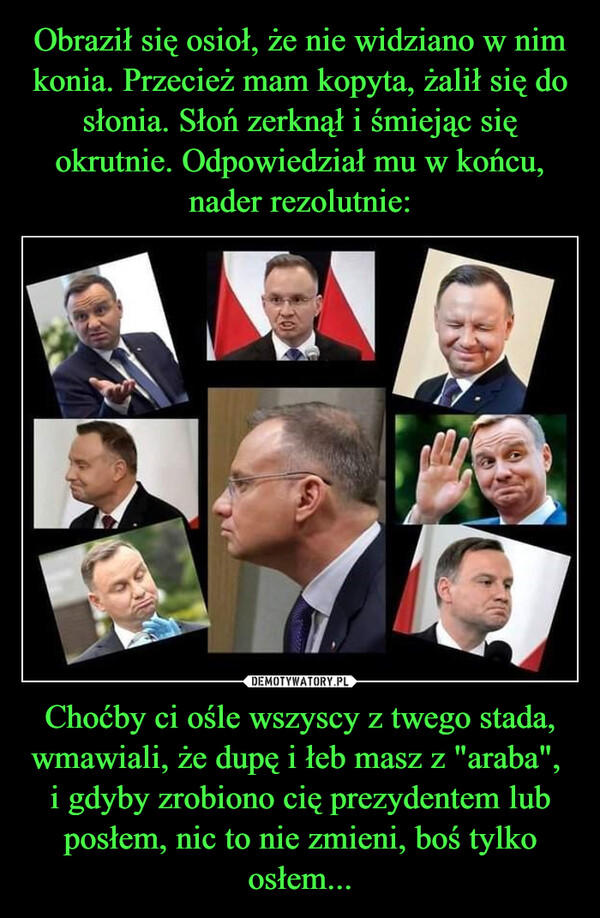 Choćby ci ośle wszyscy z twego stada, wmawiali, że dupę i łeb masz z "araba", i gdyby zrobiono cię prezydentem lub posłem, nic to nie zmieni, boś tylko osłem... –  FOC