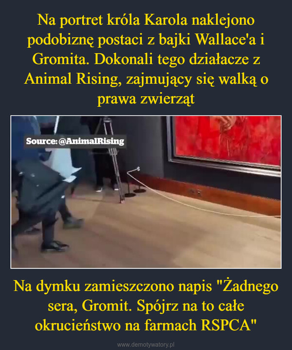 Na dymku zamieszczono napis "Żadnego sera, Gromit. Spójrz na to całe okrucieństwo na farmach RSPCA" –  NO CHESSE, GROMIT.Look ALL THISCRUELTY N RSPCAFA S!