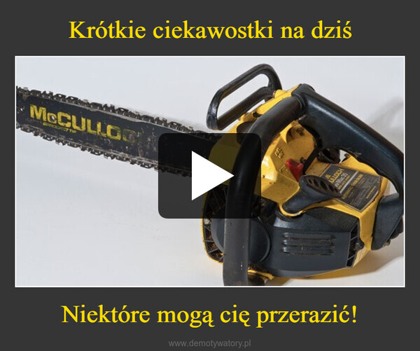 Niektóre mogą cię przerazić! –  McCULLOSPROCKEST THEDULLOCH