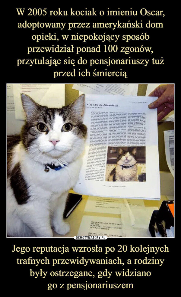 Jego reputacja wzrosła po 20 kolejnych trafnych przewidywaniach, a rodziny były ostrzegane, gdy widzianogo z pensjonariuszem –  A Day in the Life of Oscar the CatWEEKEND AND AFTER SPADWACHTEL NANDA MENIODOSA, MURPHYDR. W. AND DR. OFFSTEADOF THIS COVERAGE