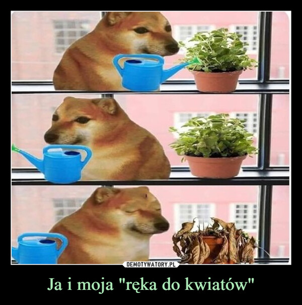 Ja i moja "ręka do kwiatów" –  