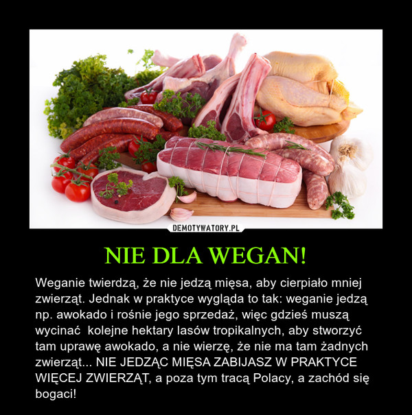 NIE DLA WEGAN! – Weganie twierdzą, że nie jedzą mięsa, aby cierpiało mniej zwierząt. Jednak w praktyce wygląda to tak: weganie jedzą np. awokado i rośnie jego sprzedaż, więc gdzieś muszą wycinać  kolejne hektary lasów tropikalnych, aby stworzyć tam uprawę awokado, a nie wierzę, że nie ma tam żadnych zwierząt... NIE JEDZĄC MIĘSA ZABIJASZ W PRAKTYCE WIĘCEJ ZWIERZĄT, a poza tym tracą Polacy, a zachód się bogaci! 