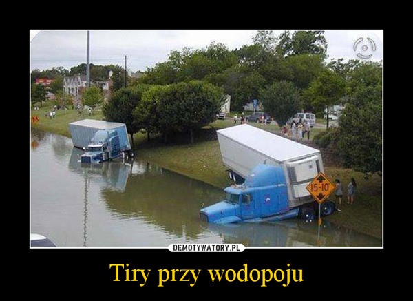 Tiry przy wodopoju –  