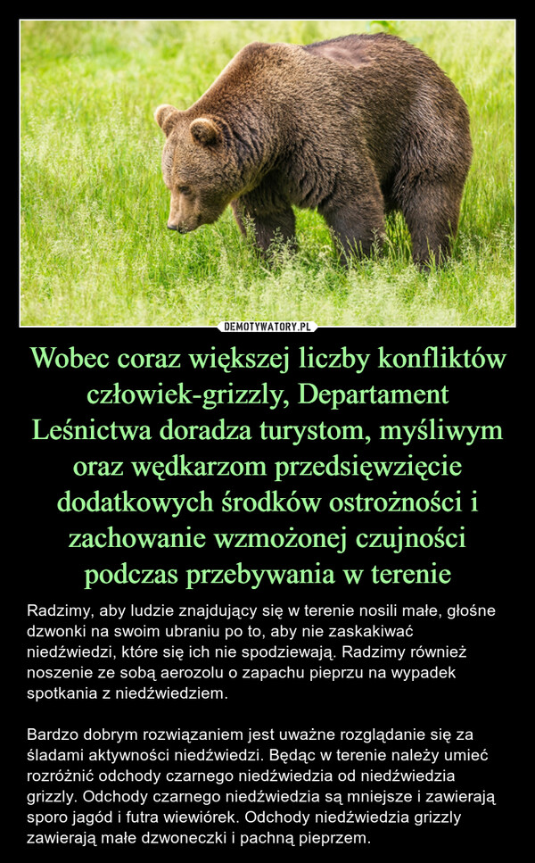 Wobec coraz większej liczby konfliktów człowiek-grizzly, Departament Leśnictwa doradza turystom, myśliwym oraz wędkarzom przedsięwzięcie dodatkowych środków ostrożności i zachowanie wzmożonej czujności podczas przebywania w terenie – Radzimy, aby ludzie znajdujący się w terenie nosili małe, głośne dzwonki na swoim ubraniu po to, aby nie zaskakiwać niedźwiedzi, które się ich nie spodziewają. Radzimy również noszenie ze sobą aerozolu o zapachu pieprzu na wypadek spotkania z niedźwiedziem. Bardzo dobrym rozwiązaniem jest uważne rozglądanie się za śladami aktywności niedźwiedzi. Będąc w terenie należy umieć rozróżnić odchody czarnego niedźwiedzia od niedźwiedzia grizzly. Odchody czarnego niedźwiedzia są mniejsze i zawierają sporo jagód i futra wiewiórek. Odchody niedźwiedzia grizzly zawierają małe dzwoneczki i pachną pieprzem. 