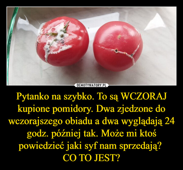 Pytanko na szybko. To są WCZORAJ kupione pomidory. Dwa zjedzone do wczorajszego obiadu a dwa wyglądają 24 godz. później tak. Może mi ktoś powiedzieć jaki syf nam sprzedają? CO TO JEST? –  