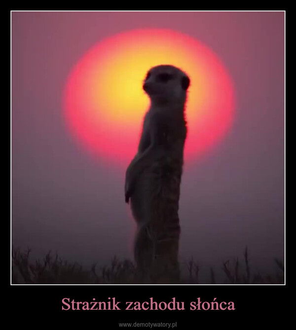 Strażnik zachodu słońca –  