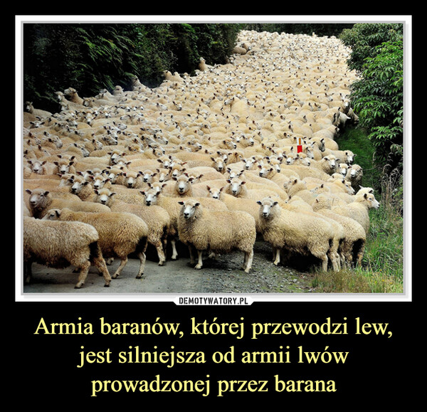 Armia baranów, której przewodzi lew, jest silniejsza od armii lwów prowadzonej przez barana –  