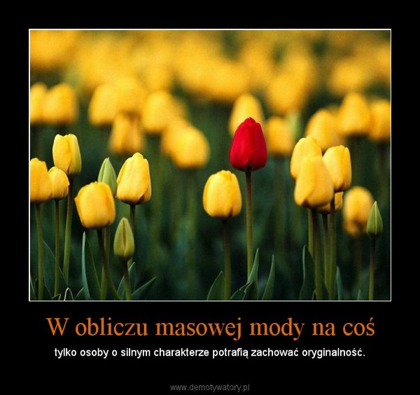 W obliczu masowej mody na coś – tylko osoby o silnym charakterze potrafią zachować oryginalność. 