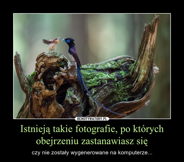 Istnieją takie fotografie, po których obejrzeniu zastanawiasz się – czy nie zostały wygenerowane na komputerze... 