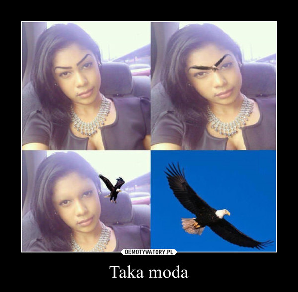 Taka moda –  