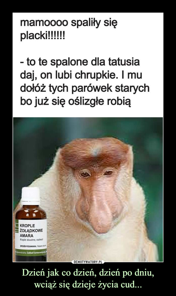 Dzień jak co dzień, dzień po dniu,wciąż się dzieje życia cud... –  mamoooo spaliły sięplacki!!!!!!- to te spalone dla tatusiadaj, on lubi chrupkie. I mudołóż tych parówek starychbo już się oślizgłe robią