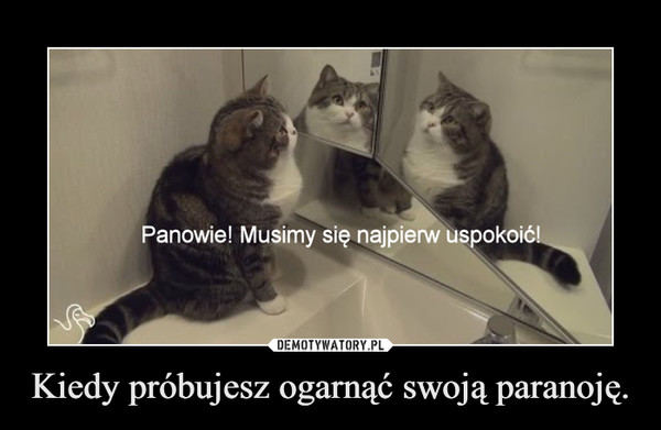 Kiedy próbujesz ogarnąć swoją paranoję. –  Panowie! Musimy się najpierw uspokoić!