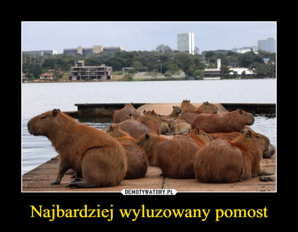 Najbardziej wyluzowany pomost –  