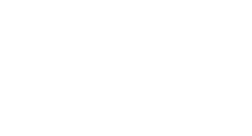 Groupe INSA