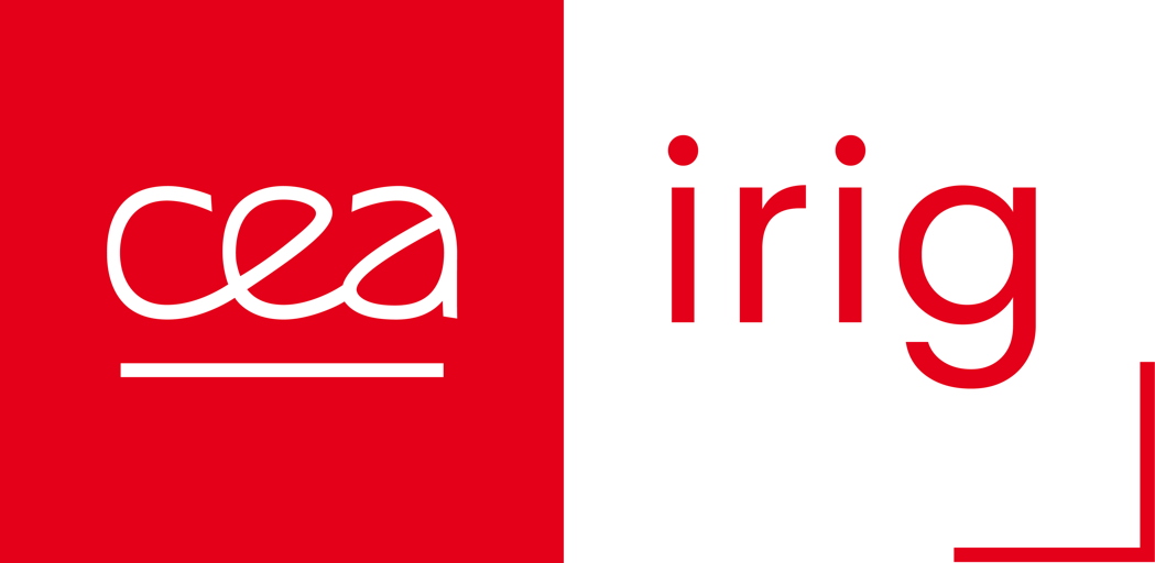 lnstitut de recherche interdisciplinaire de Grenoble (Irig)