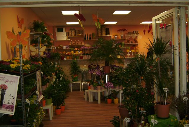 Datei:Blumenshop im Real Sinzheim.jpg