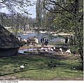 Bundesarchiv B 145 Bild-F024480-0008, Karlsruhe, Bundesgartenschau.jpg