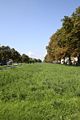 heutiger Grünstreifen bei der Hildapromenade