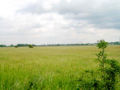 Blick von der süd-westlichen Ecke auf den alten Flugplatz