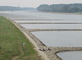 Rhein bei Niedrigwasser September 2009