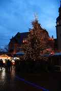 Weihnachtsbaum Ettlingen