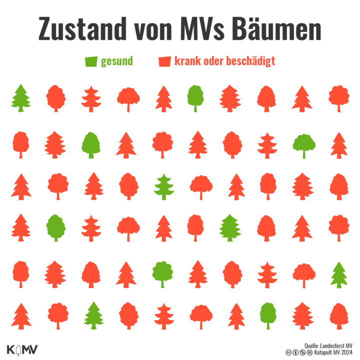 Die Karte zeigt anhand von Baumsymbolen den Zustand von MVs Wald. Unter 60 Bäumen (in rot) sind nur zehn grün eingefärbt