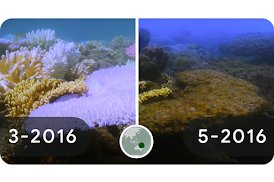 Image en timelapse montrant les effets du changement climatique sur la Grande barrière de corail