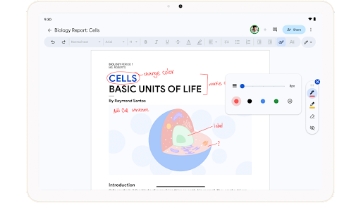 Rättar en biologiläxa med handskrivna kommentarer i Google Dokument på en Android-surfplatta.