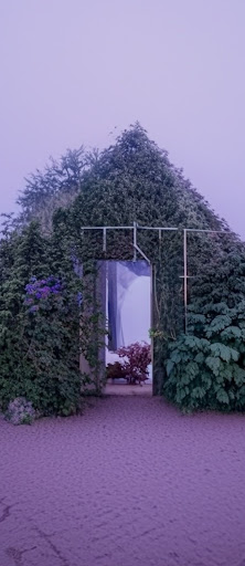 Et AI-generert hus laget av planter. En dør er åpen og viser en bukett med indigofargede blomster. Bakgrunnen er en indigofarget himmel og oppsprukket bakke med forespørselen «Et hus laget av planter i indigo».