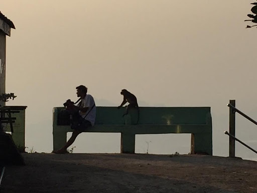 Un photographe et un singe sur fond de coucher de soleil flou en Birmanie