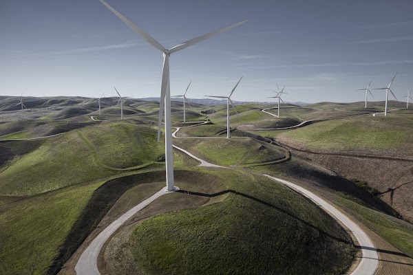 groene veld met windmolens