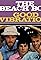 The Beach Boys: Good Vibrations (Version 2)'s primary photo