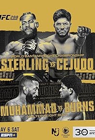 Primary photo for UFC 288: Sterling vs Cejudo