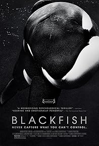 Primary photo for Blackfish