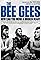 The Bee Gees: How Can You Mend a Broken Heart's primary photo